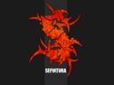 08_sepultura.jpg