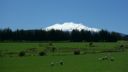 DSC03645.JPG