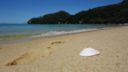 DSC04280.JPG