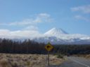DSC05005.JPG