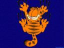 Garfield.jpg
