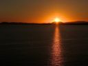 IMG_2529.JPG