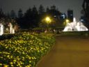 IMG_2685.jpg