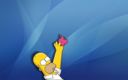 simpsons-osx-homer.jpg